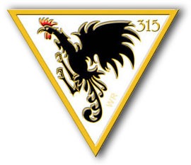 Polish 315 Squadron emblem