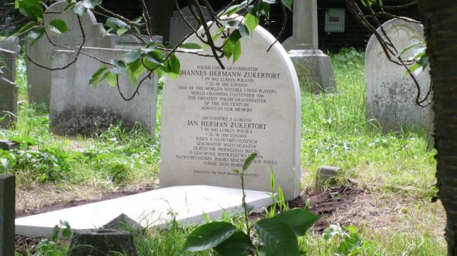 Zukertort grave