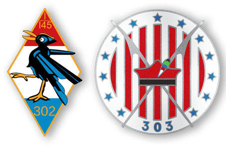  Dywizjon 302 & 303 badges