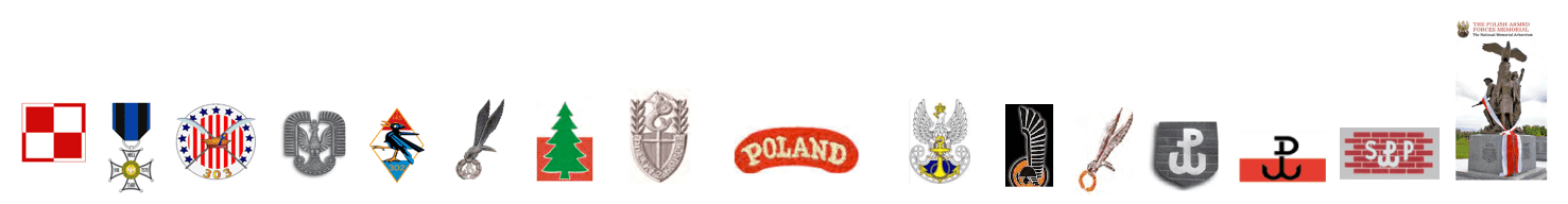 The Institute of Polish Miltary History